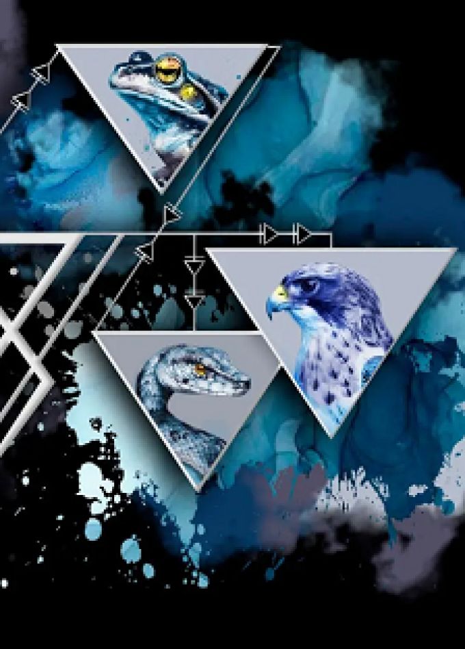 Королевство кривых зеркал