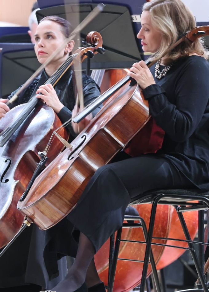 Шотландская