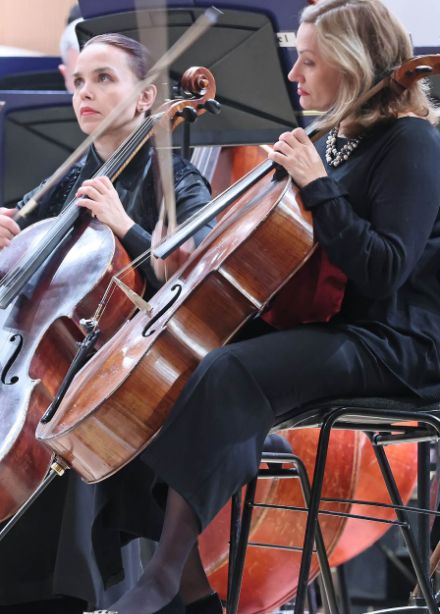 Шотландская