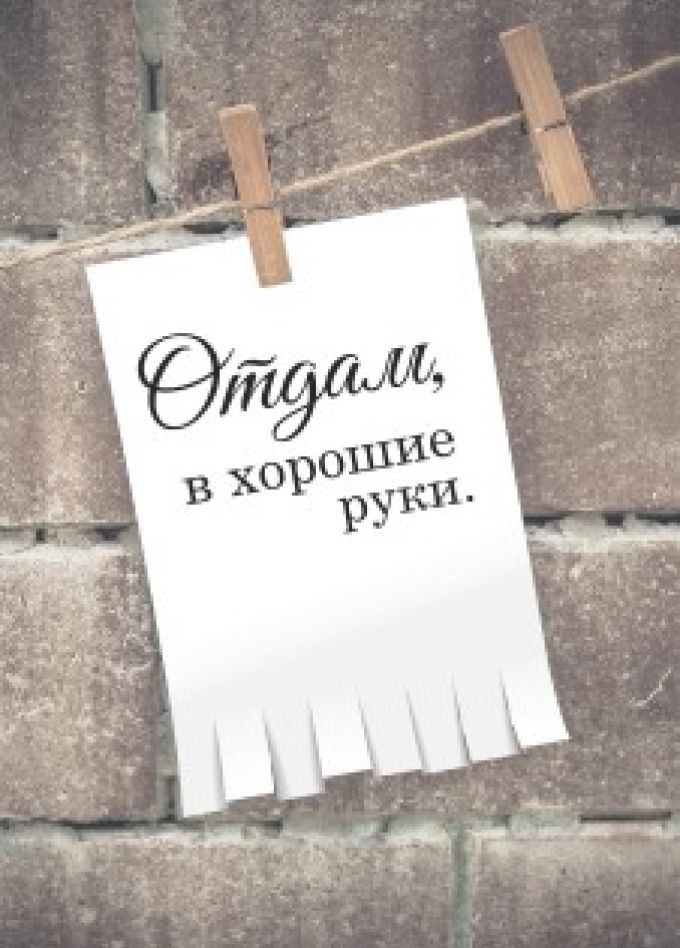 Отдам, в хорошие руки