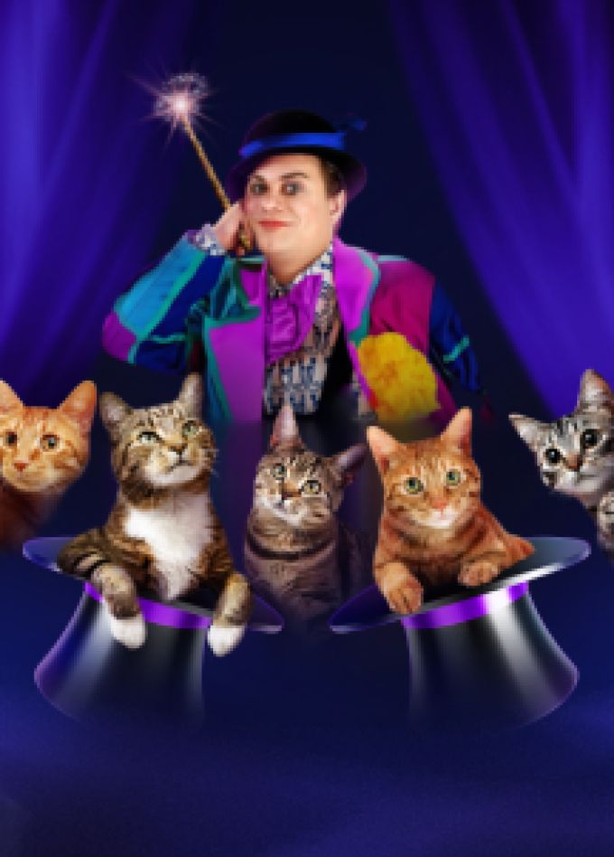 Волшебные кошки Куклачева