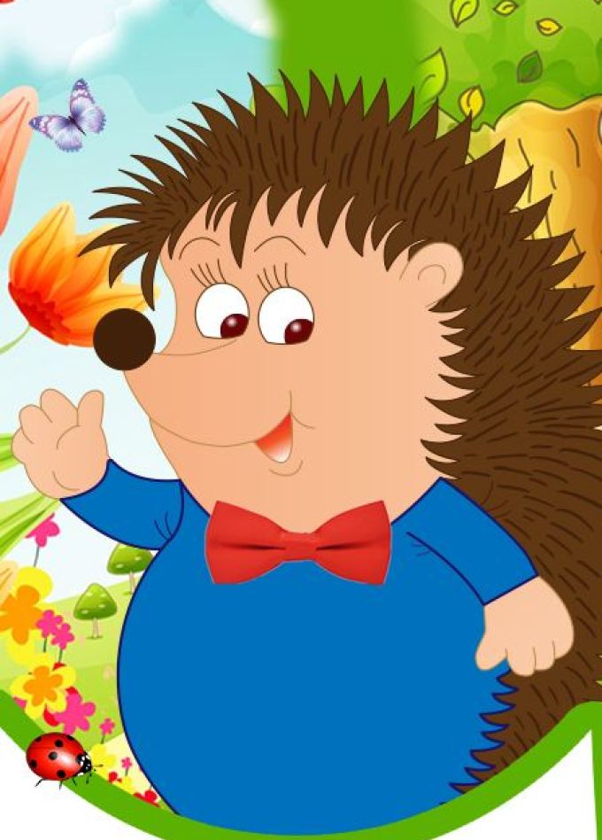 Ежик-колючка