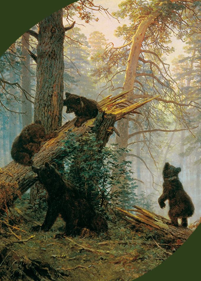 Мультимедийная выставка "Шишкин. Одинокие леса".