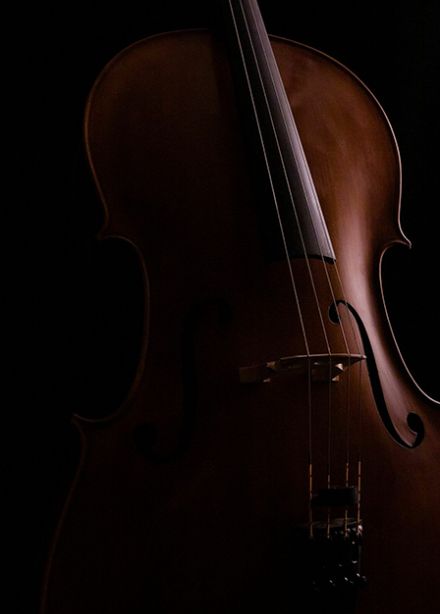 Долгая дорога к сердцу