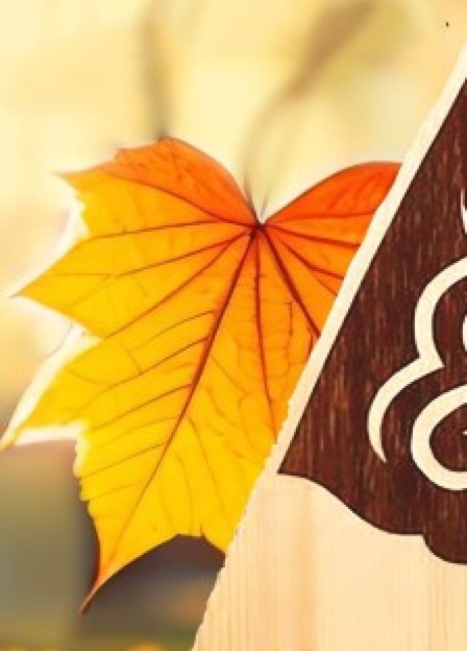 Осенняя сказка