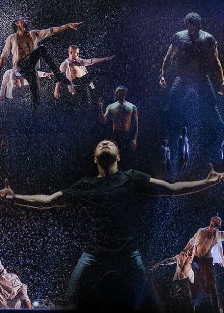 Шоу под дождём V. Признание в любви