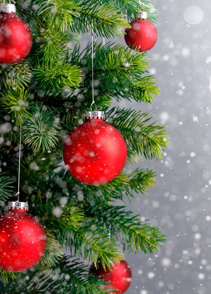 В ожидании чуда. Новогодний концерт