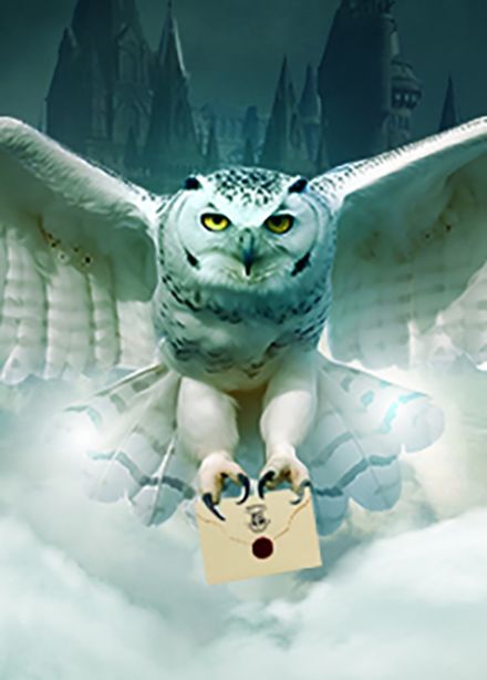 Гарри Поттер. Оркестр Sonorus